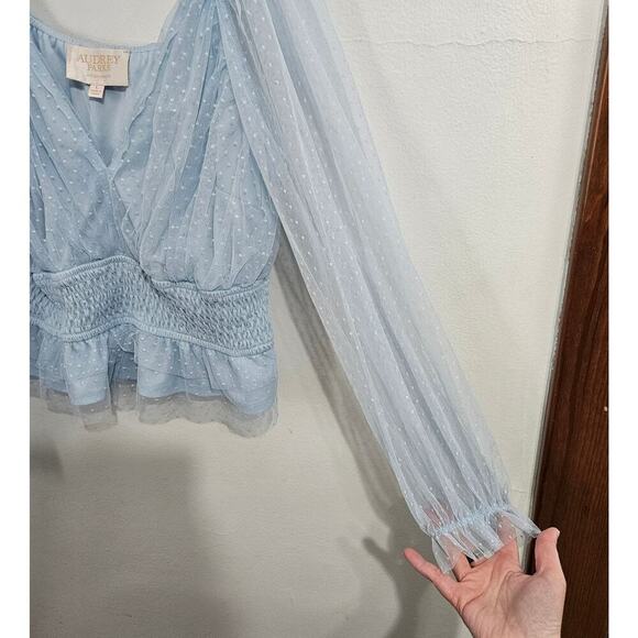 Audrey Parks Soft Blue Tulle Blouse Sheer Long Sleeve Crop V-Neck Size Large - Picture 8 of 10